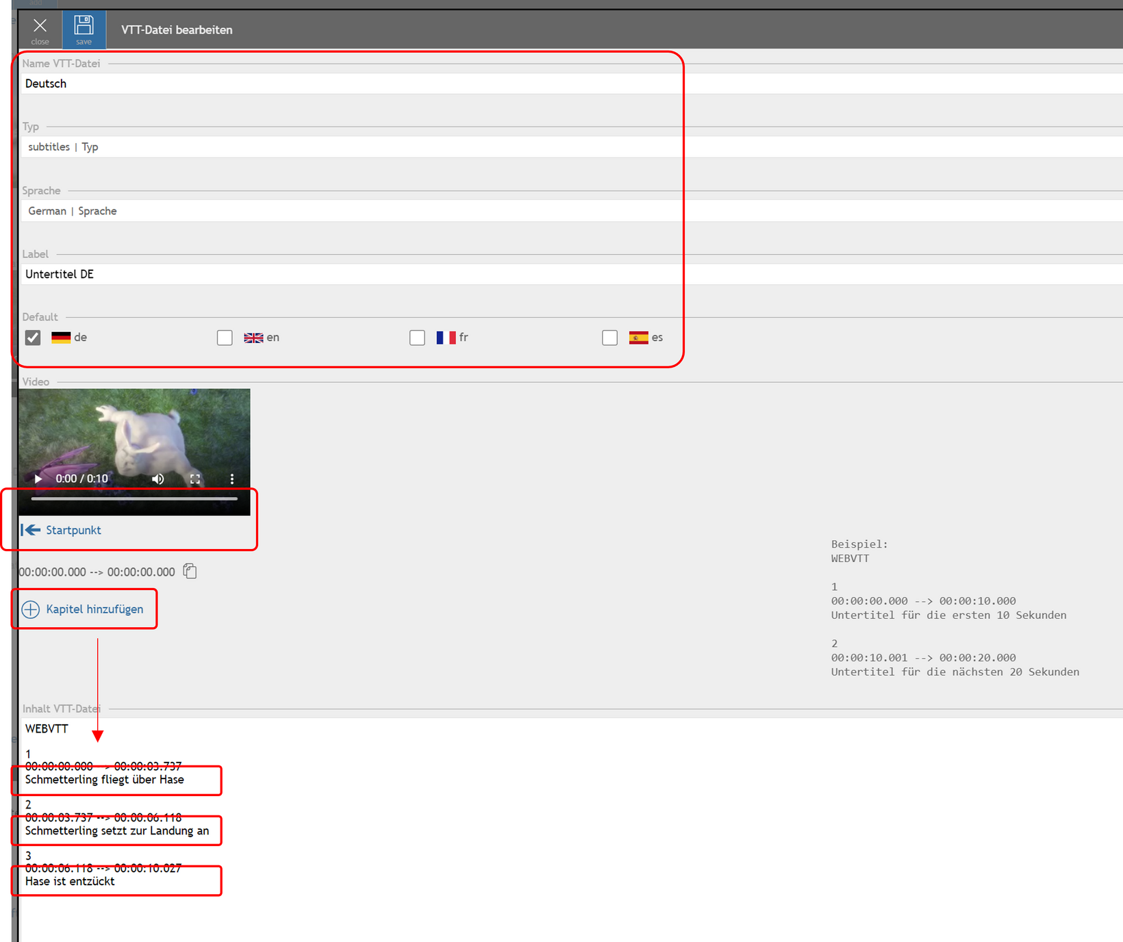 Untertitel setzen web